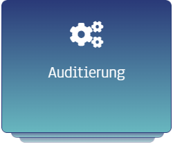 Auditierung