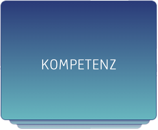 Registerkarte_Leitmotive_Kompetenz_RQS-Consulting