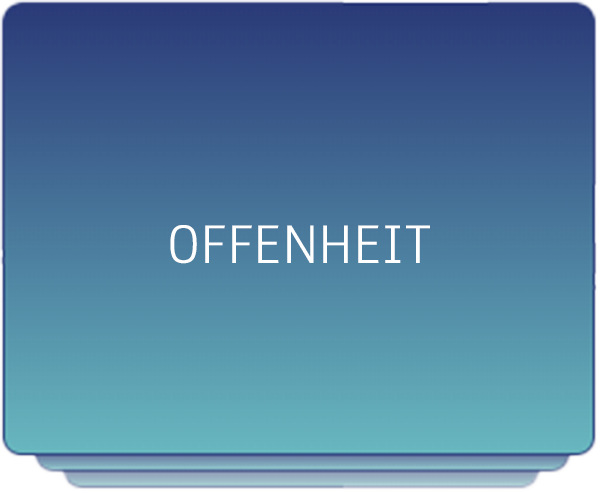 Registerkarte_Leitmotive_Offenheit_RQS-Consulting